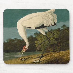 Whooping Crane Audubon Bird Painting Mouse Mat