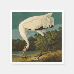 Whooping Crane Audubon Bird Painting Napkin
