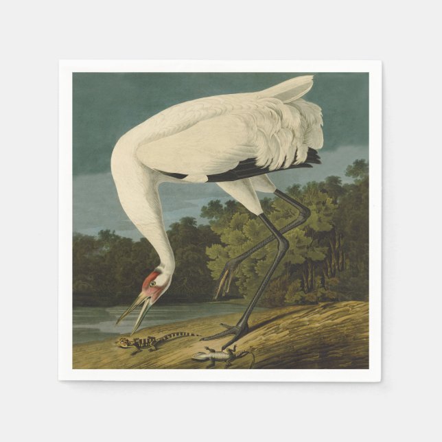 Whooping Crane Audubon Bird Painting Napkin (Front)