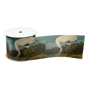 Whooping Crane Audubon Bird Painting Satin Ribbon