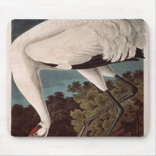 Whooping Crane, from 'Birds of America' Mouse Mat