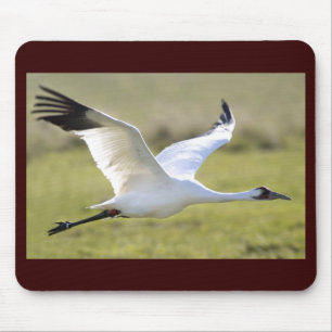 Whooping Crane (Grus americana) Mouse Mat