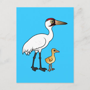 Whooping Crane with Chick Postcard