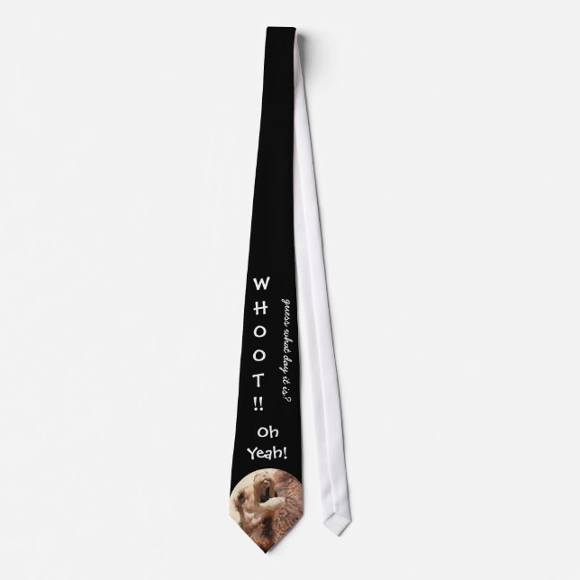 Whoot!  Fun tie for work day Wednesday!  HUMP DAY! (Front)