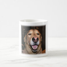 Who's a good boy?