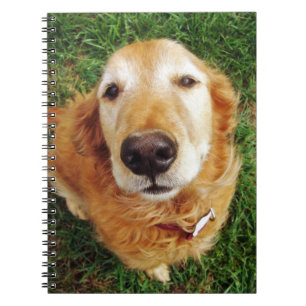 Who's a Good Boy Notebook
