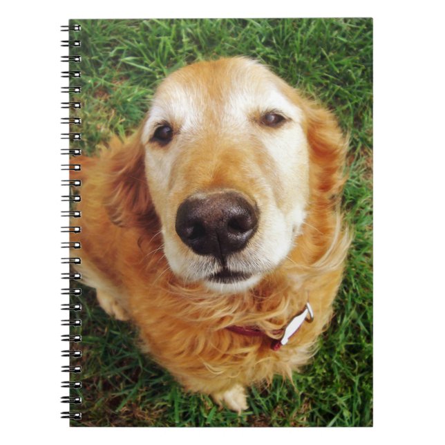 Who's a Good Boy Notebook (Front)