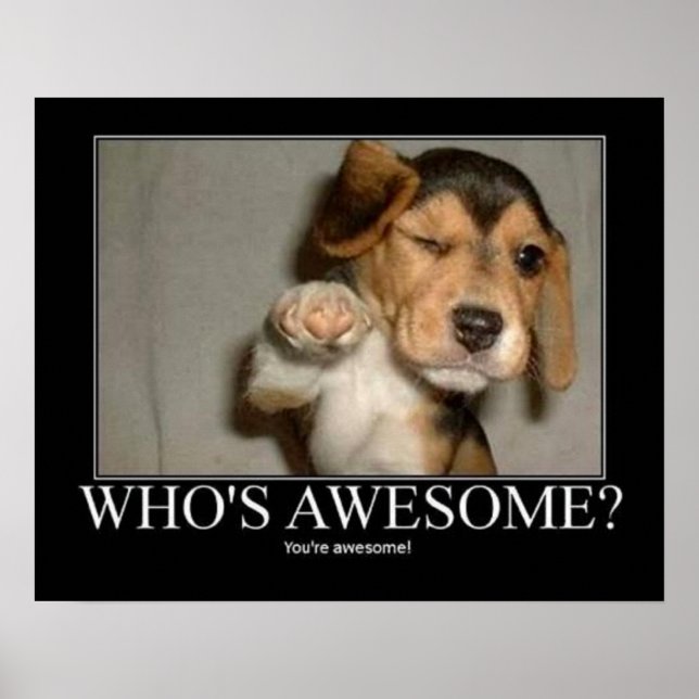Who's Awsome? Poster (Front)