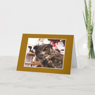 Who's birthday is it? card