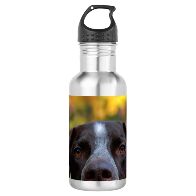 Who's Dat Dog? 710 Ml Water Bottle (Front)