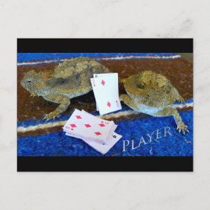 Who's deal it anyways??? Hello CCL; Get Well! Postcard