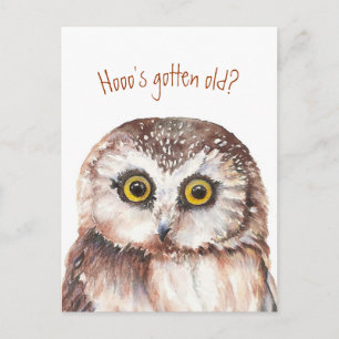 Who's gotten old? Funny Birthday Wise Owl Humour Postcard