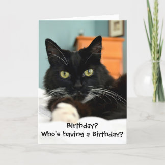 Who's Having a Birthday? Greeting Card