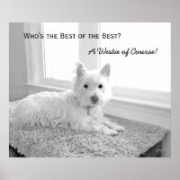 Who's the Best of the Best? A Westie of Course!
