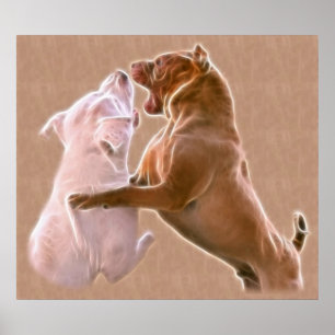 Who's the Pack Leader? Poster