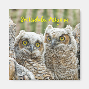 Who's there? Pair of Owl's Scottsdale, Arizona Ma Magnet