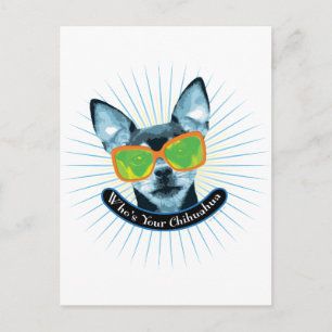 Who's Your Chihuahua? Postcard