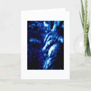 Whose Woods These Are? I think I know..Note Card