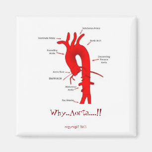 Why..Aorta....!! 2" fridge magnet