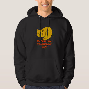 Why are Cats Excited at 2am Cat     Kitten Humor Hoodie