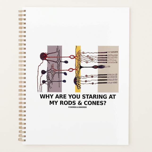Why Are You Staring At My Rods & Cones? Planner (Front)