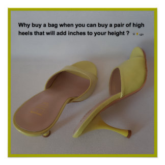 WHY BUY A BAG POSTER