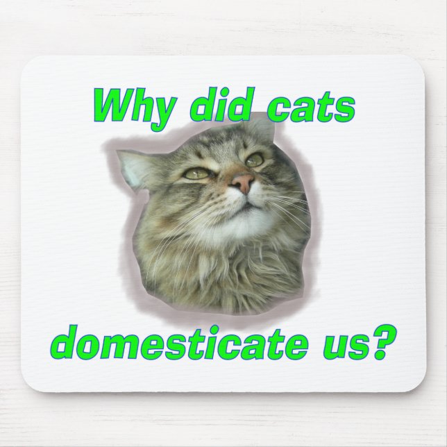 Why did cats domesticate us? mouse mat (Front)
