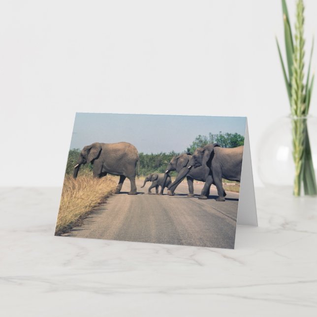 Why did the elephant cross the road? (1) card (Front)