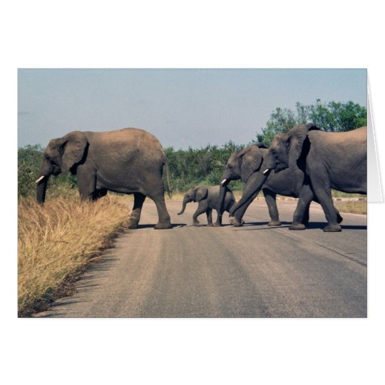 Why did the elephant cross the road? (1) card