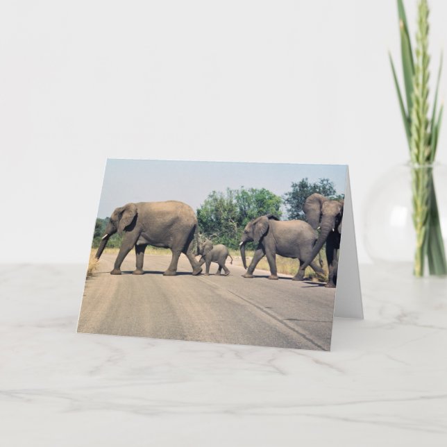 Why did the elephant cross the road? (2) card (Front)