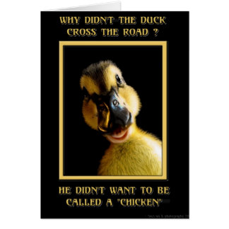 Why didn't the duck cross the road