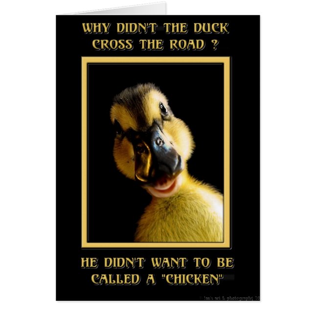 Why didn't the duck cross the road (Front)