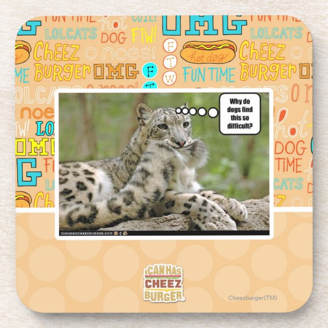 Why do dogs find this so difficult? coaster (Front)