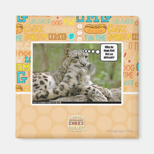 Why do dogs find this so difficult? magnet