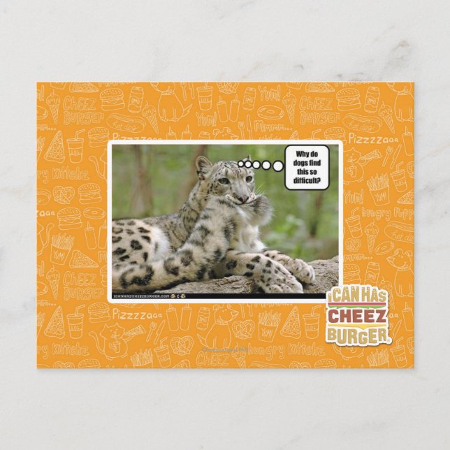 Why do dogs find this so difficult? postcard (Front)