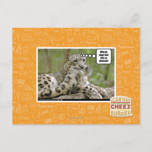 Why do dogs find this so difficult? postcard