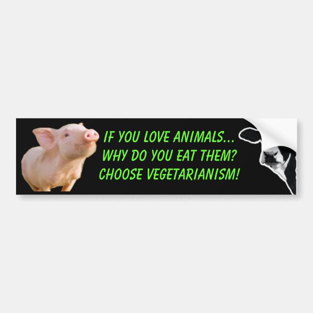 why do you eat animals bumper sticker (Front)