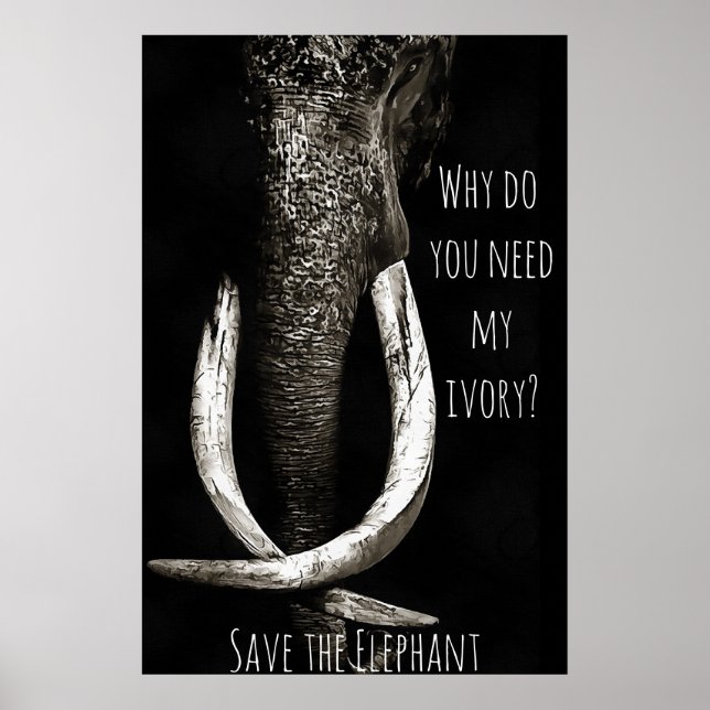 Why Do You Need My Ivory Black and White Elephant Poster (Front)