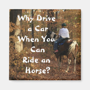 Why Drive a Car? Magnet