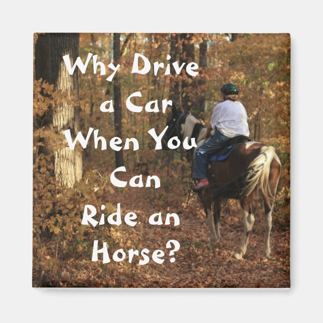 Why Drive a Car? Magnet (Front)