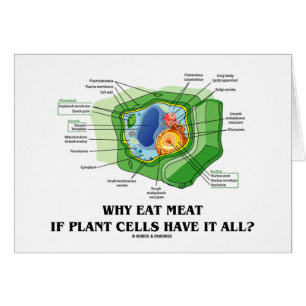 Why Eat Meat If Plant Cells Have It All? (Veg Fun)