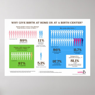 Why Home Birth? Infographic 36" x 24" Poster