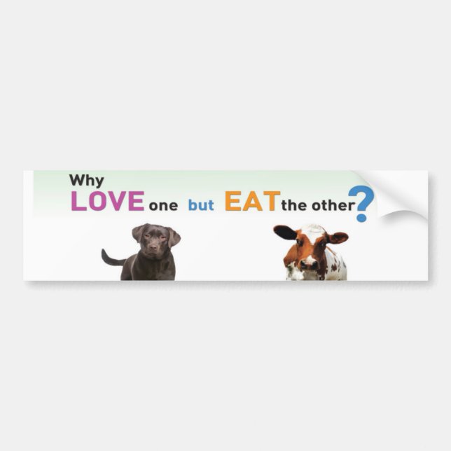 Why Love one but eat the other -Dog and Calf Bumper Sticker (Front)
