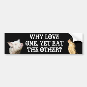 Why love one, yet eat the other? Cat/Pig Bumper Sticker