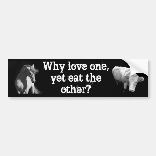 Why love one - Yet eat the other? Horse and Cow Bumper Sticker (Front)