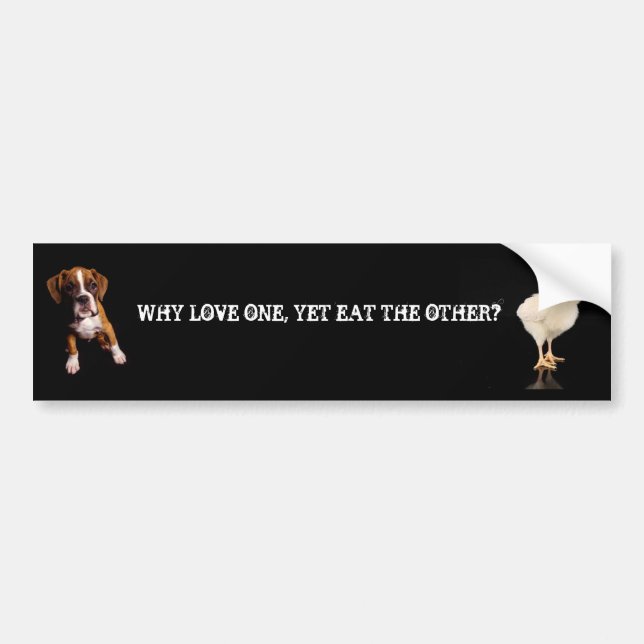 Why Love one yet eat the other-Puppy, Chick Bumper Sticker (Front)