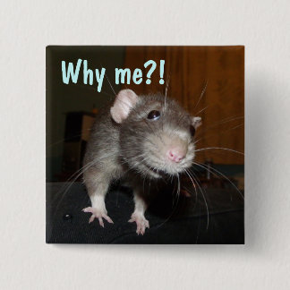why me?! rat badge