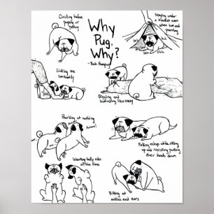 Why Pug, Why? Poster