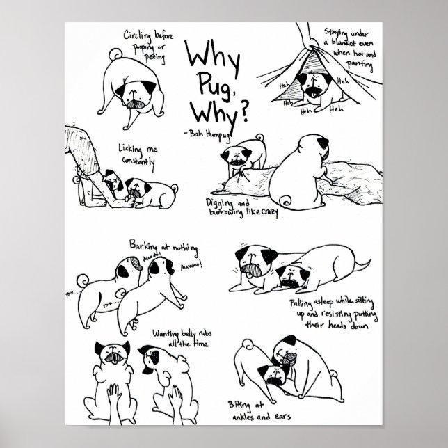Why Pug, Why? Poster (Front)