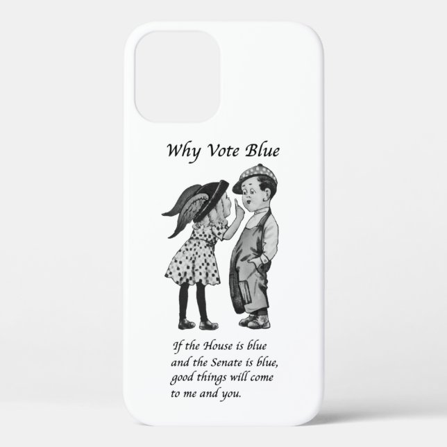 Why Vote Blue in 2022 Case-Mate iPhone Case (Back)